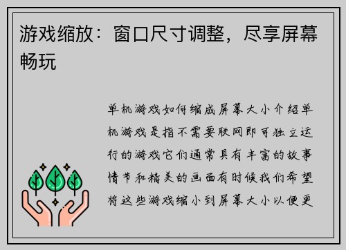 游戏缩放：窗口尺寸调整，尽享屏幕畅玩
