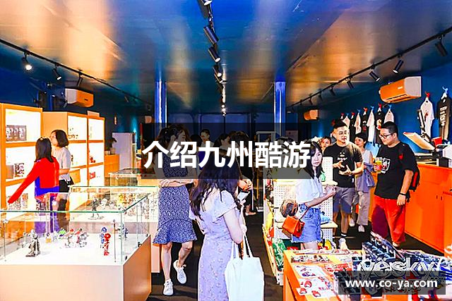 介绍九州酷游